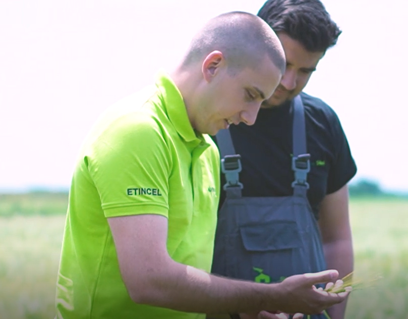 agro_services.jpg Agro consultancy