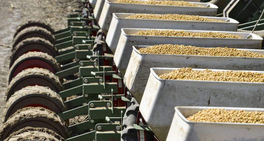 soybean_sowing.jpg Soybean sowing