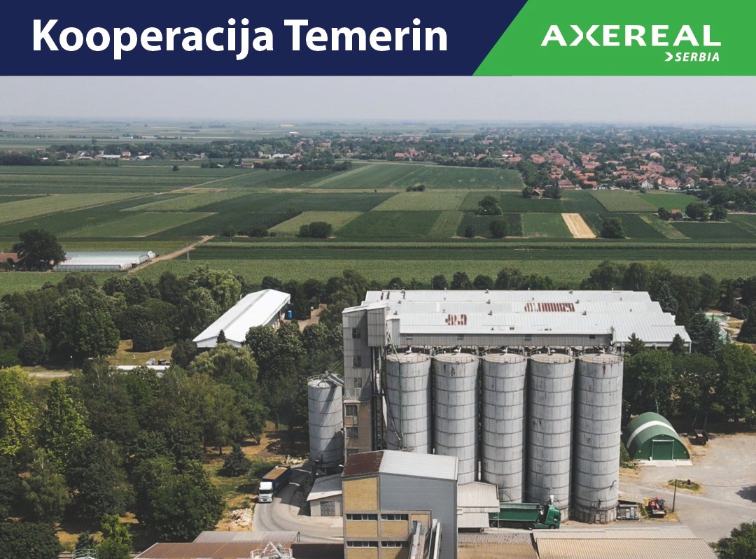 Silos Temerin