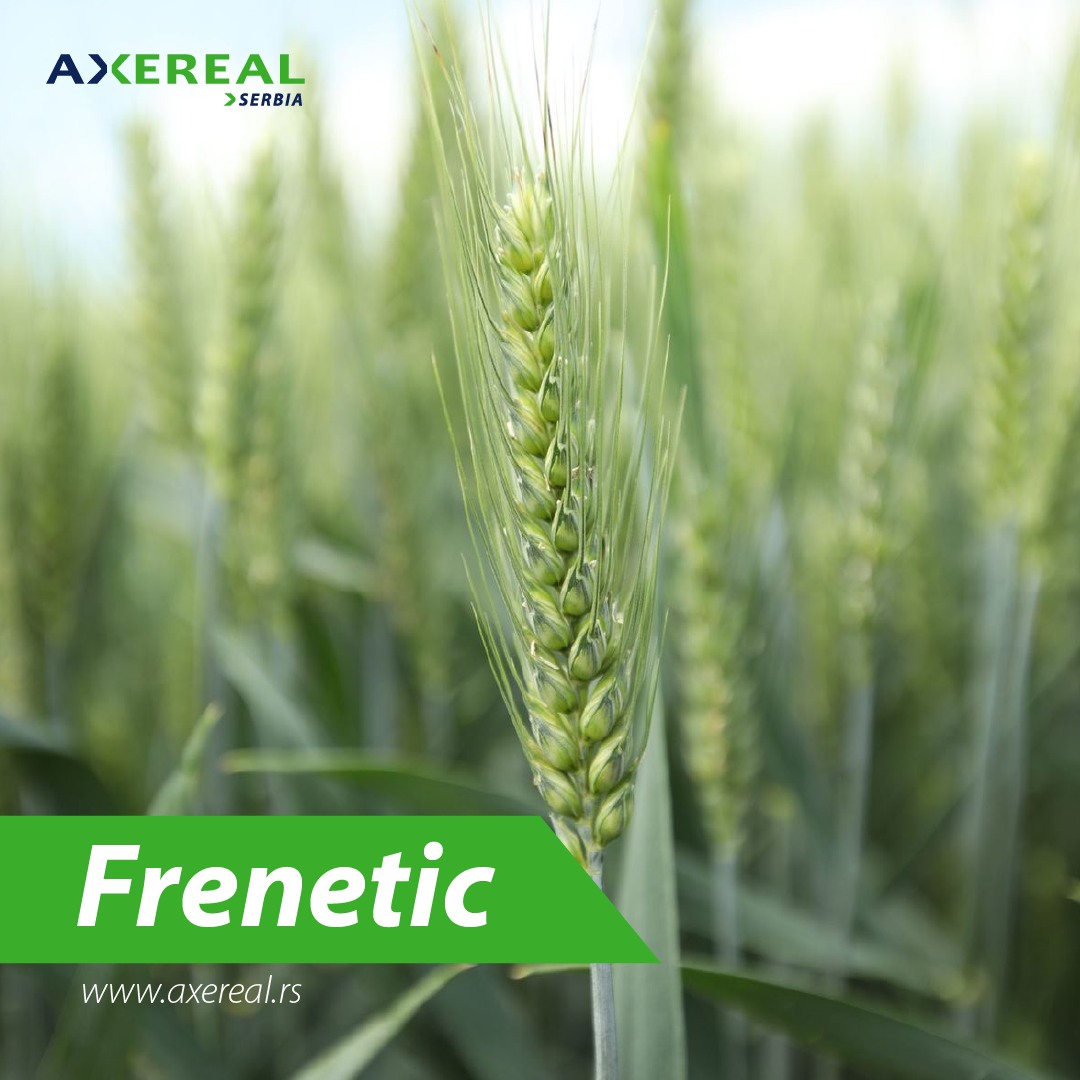 Frenetic