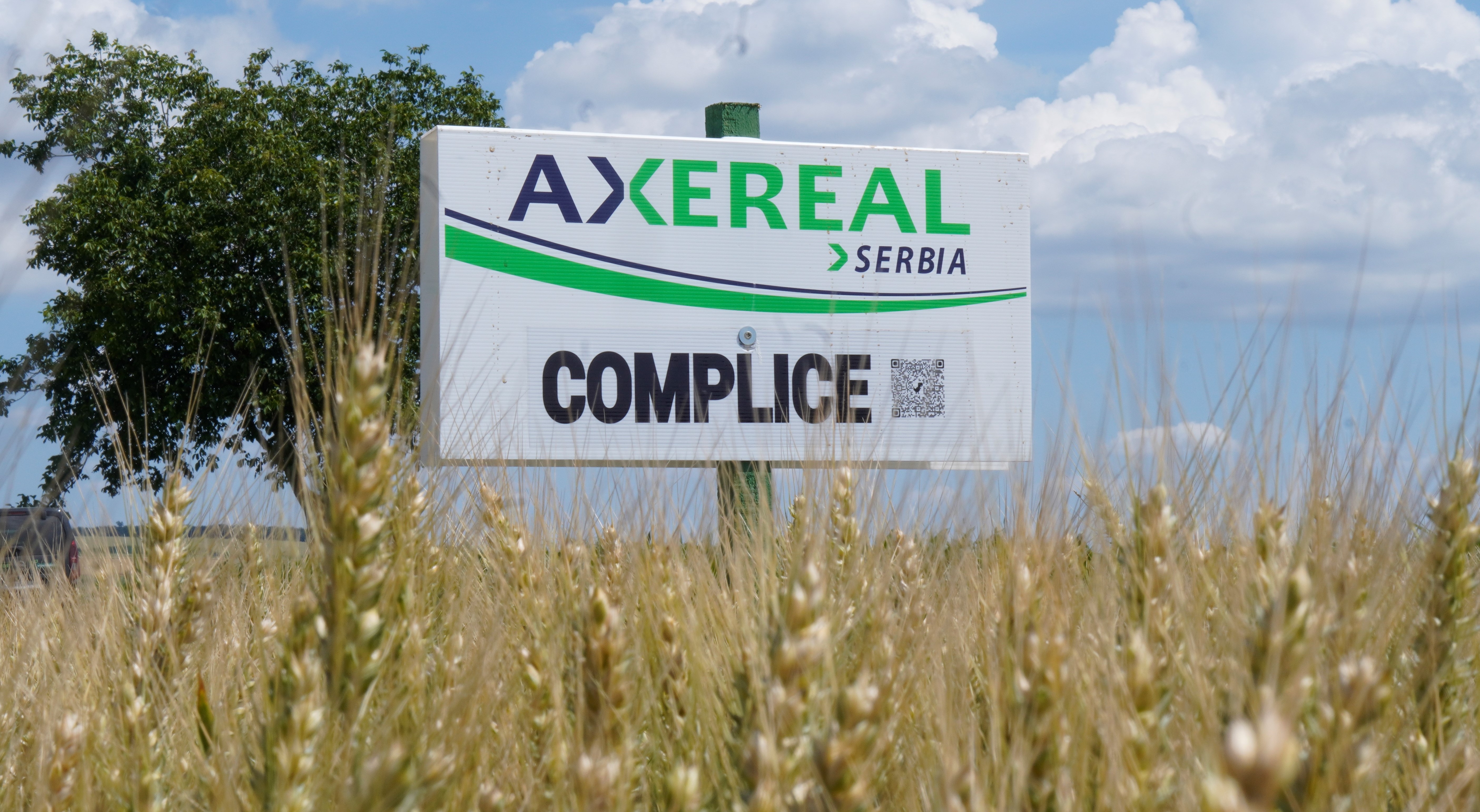 Complice