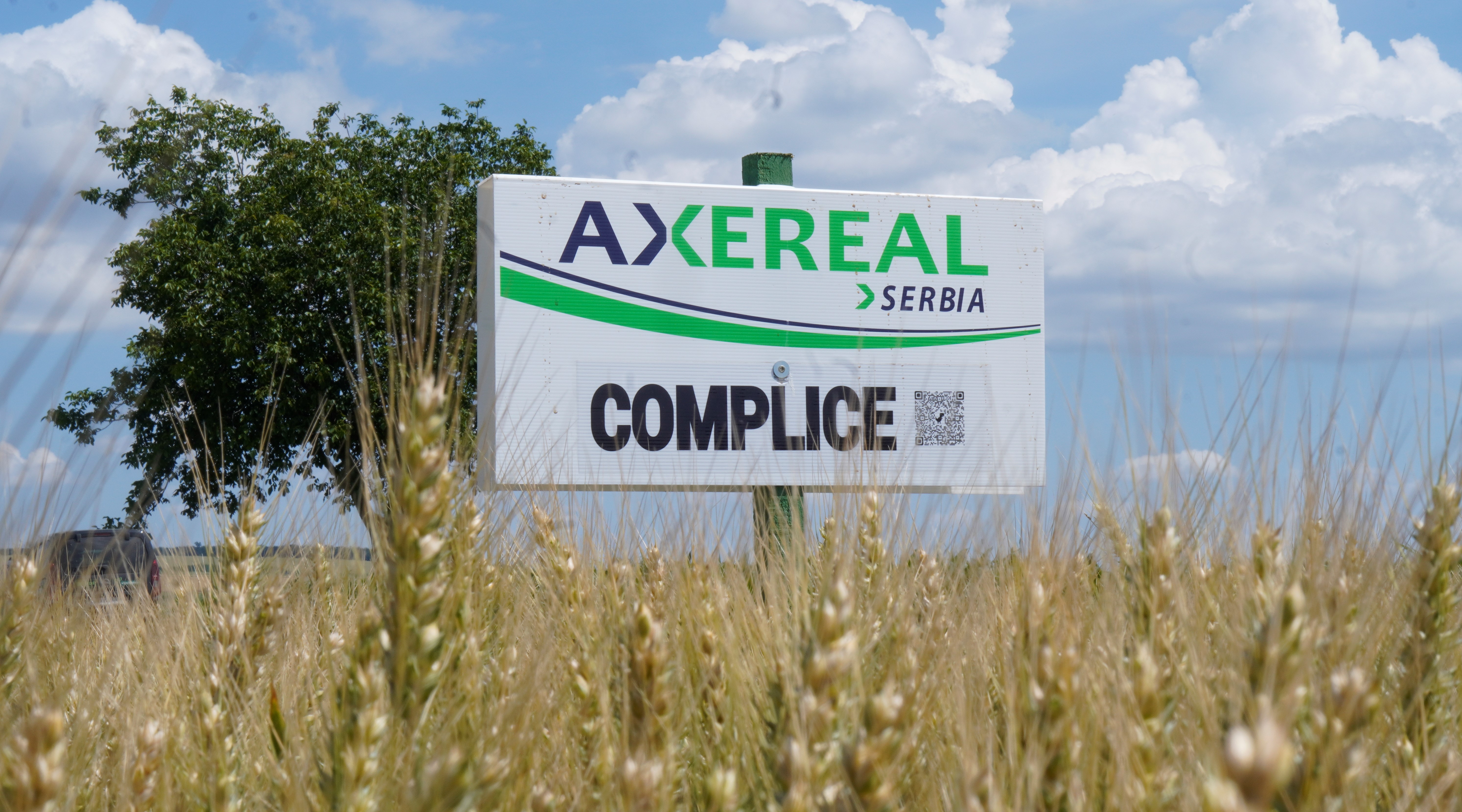 Complice