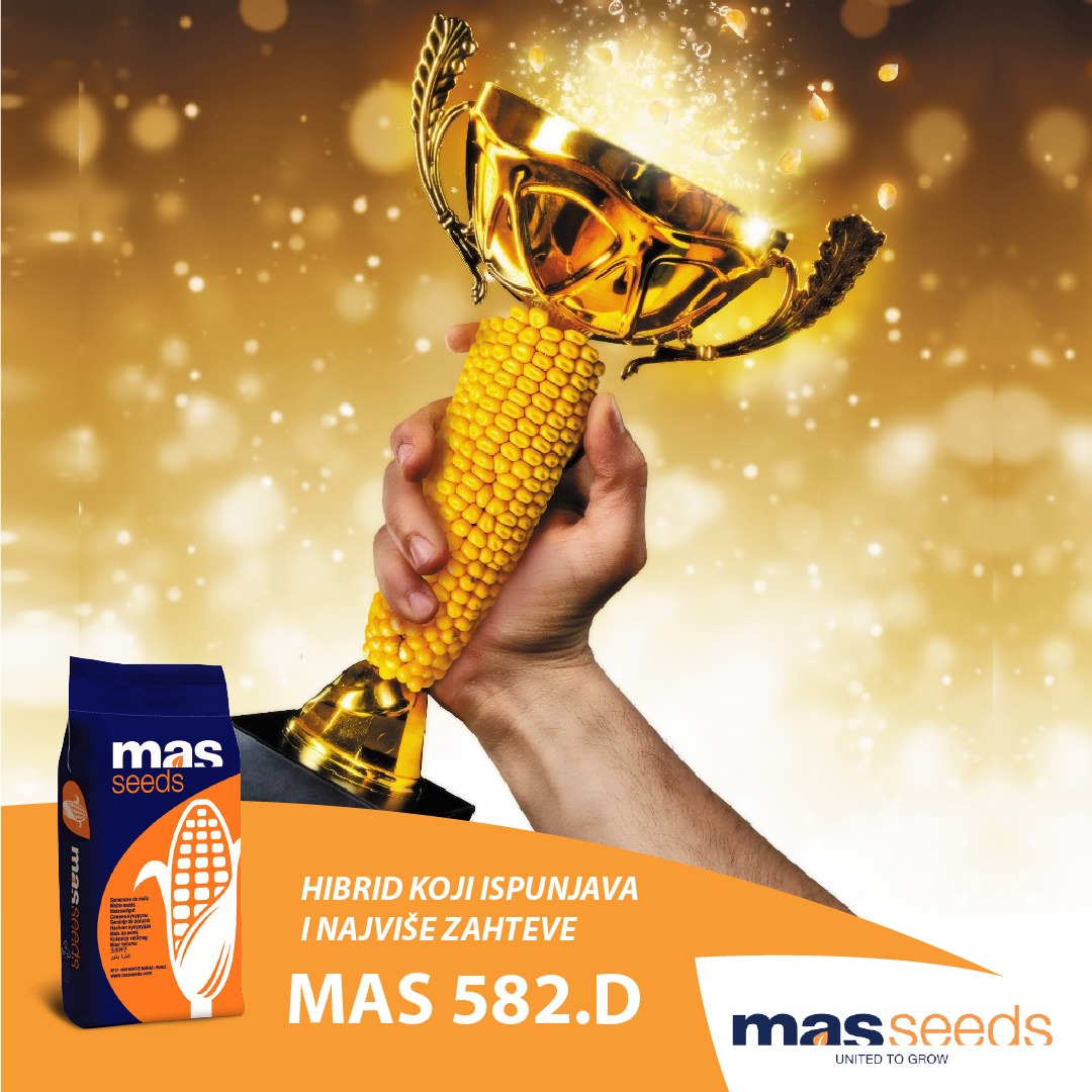 MAS 582D