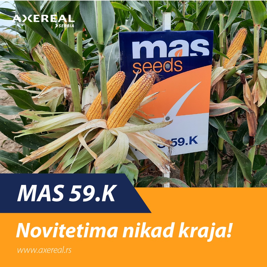 MAS 59K