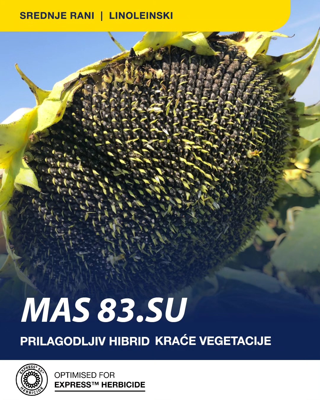 MAS 83SU