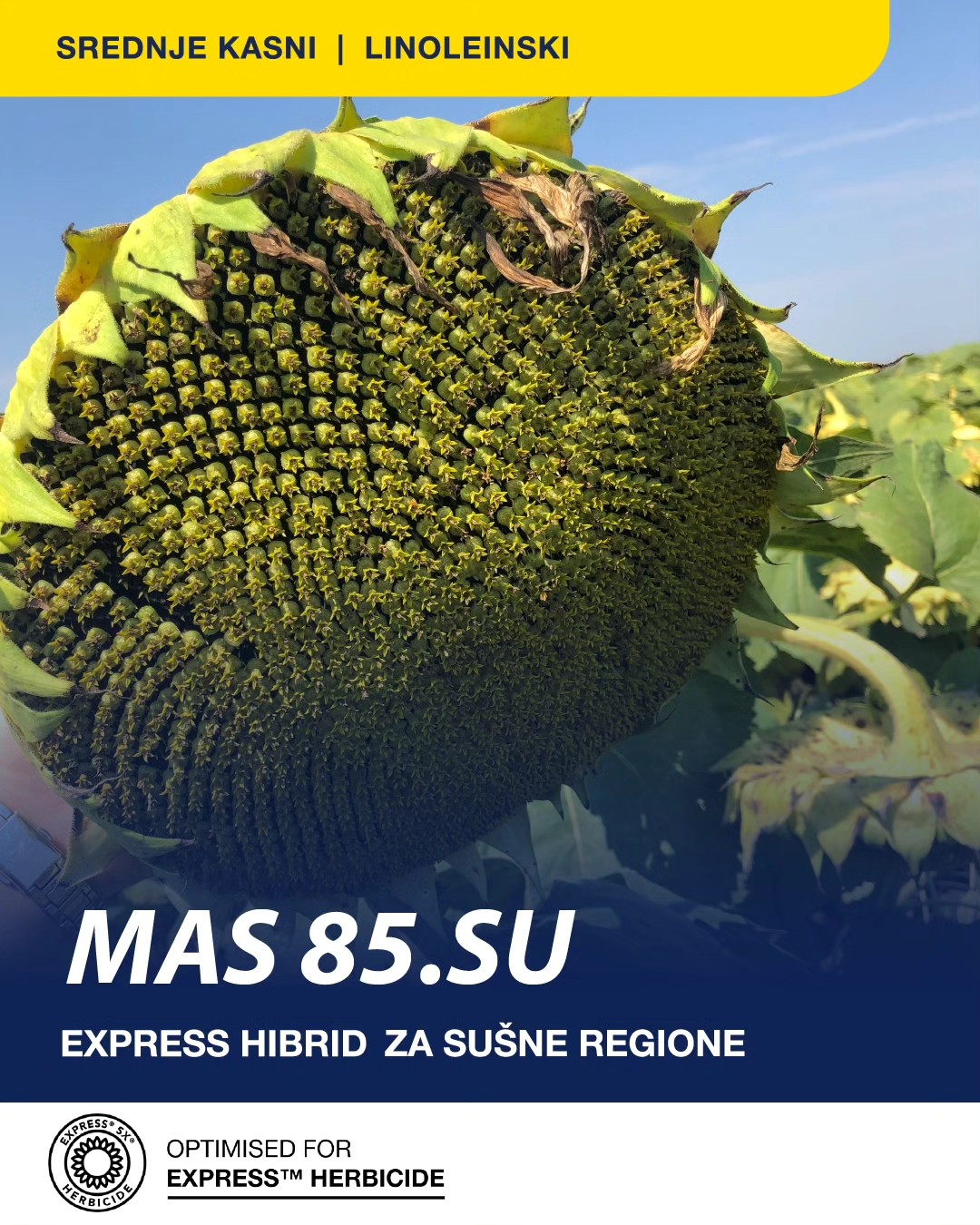 MAS 85SU