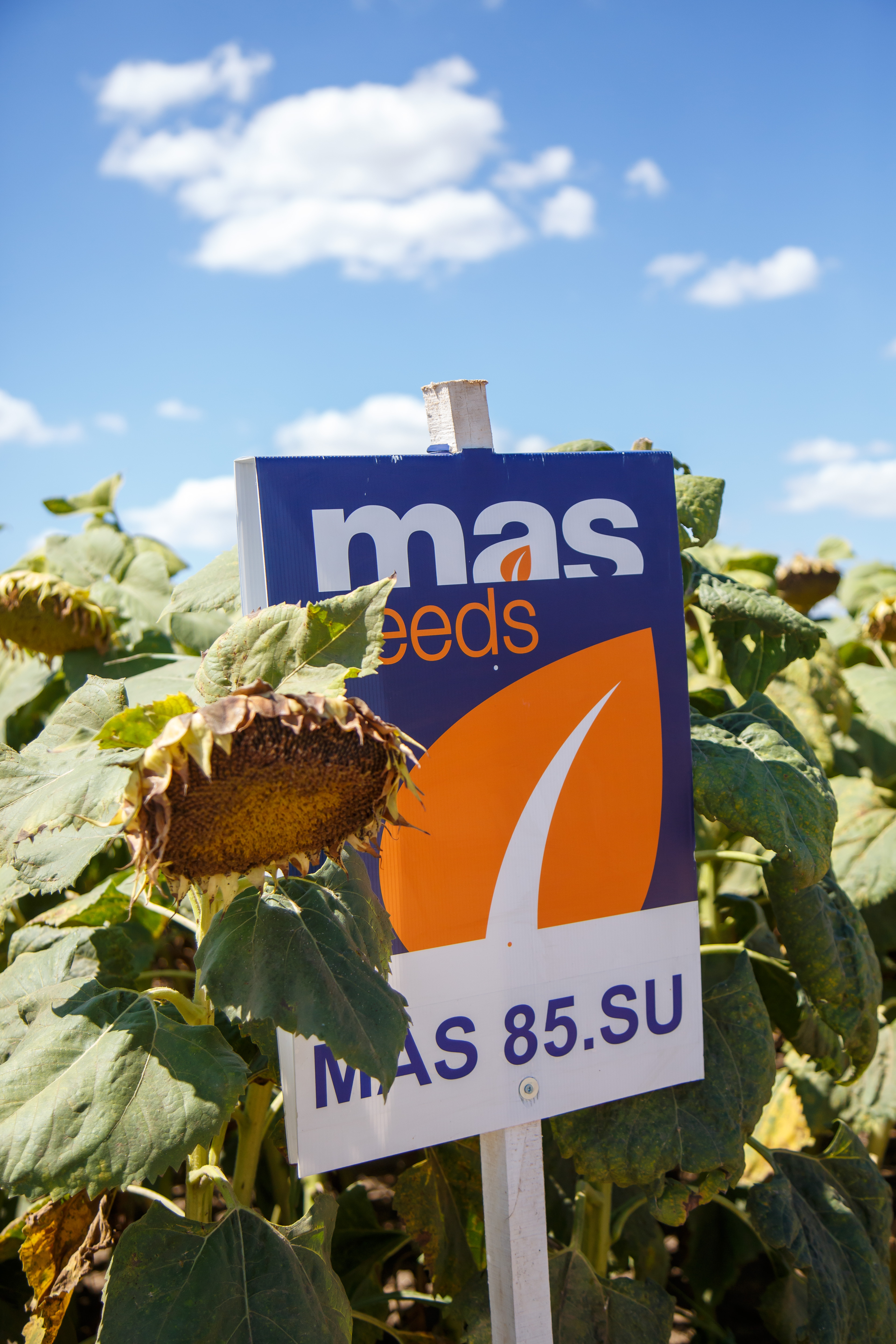 MAS 85SU