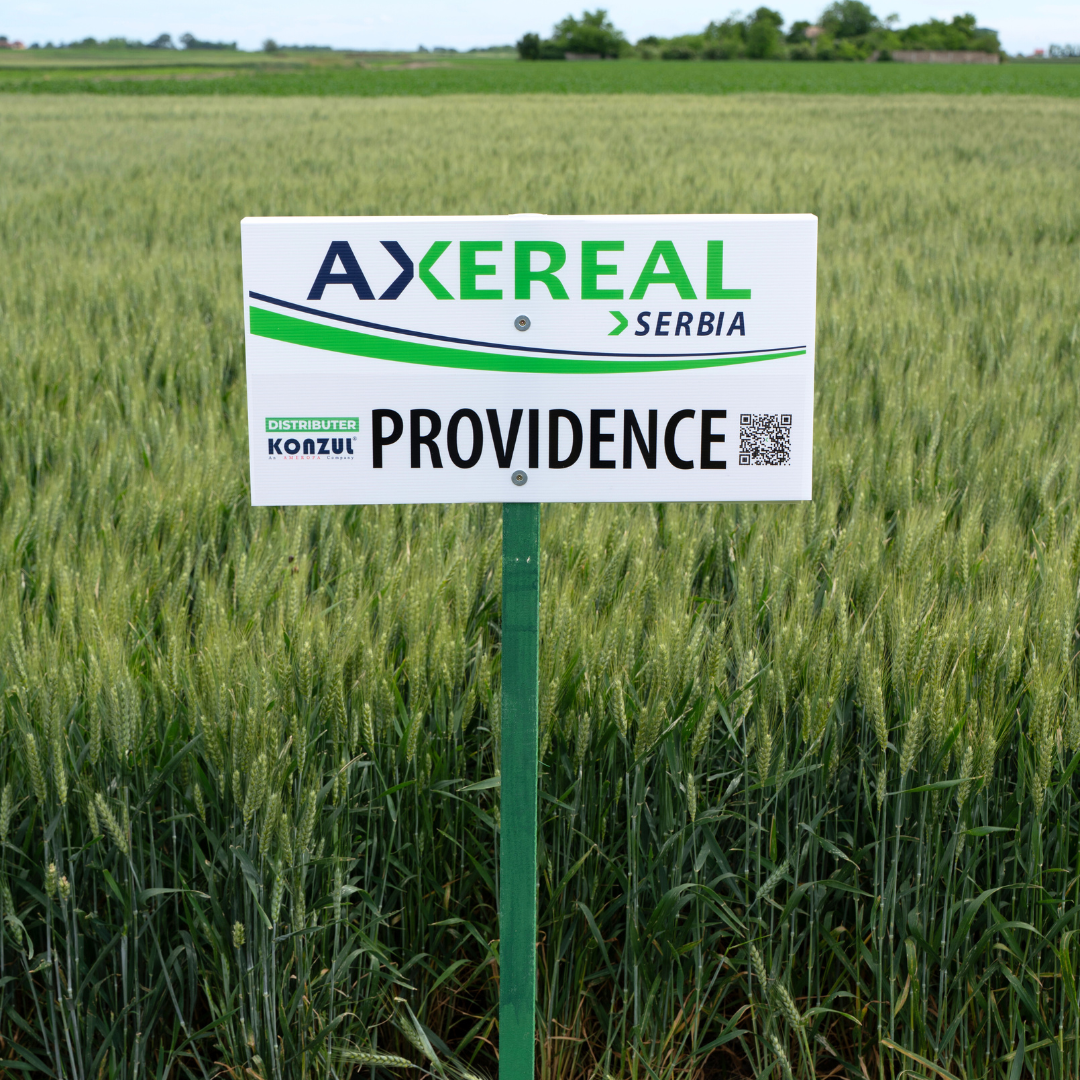 Providence