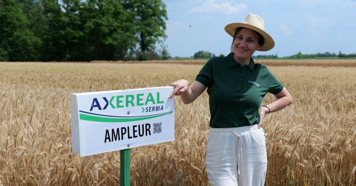 AMPLEUR