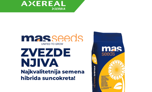 MAS SUNCOKRET