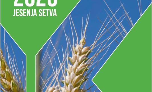 Katalog