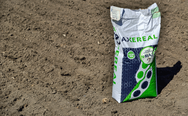 Axereal seeds
