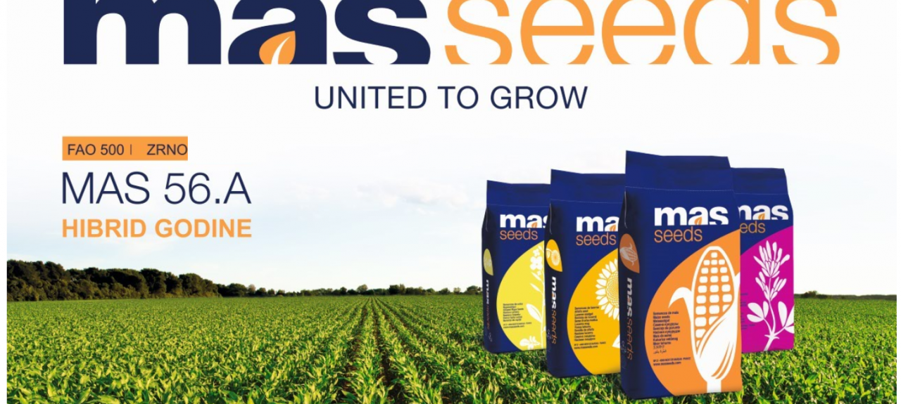 MAS56.A 2.png MAS56.A