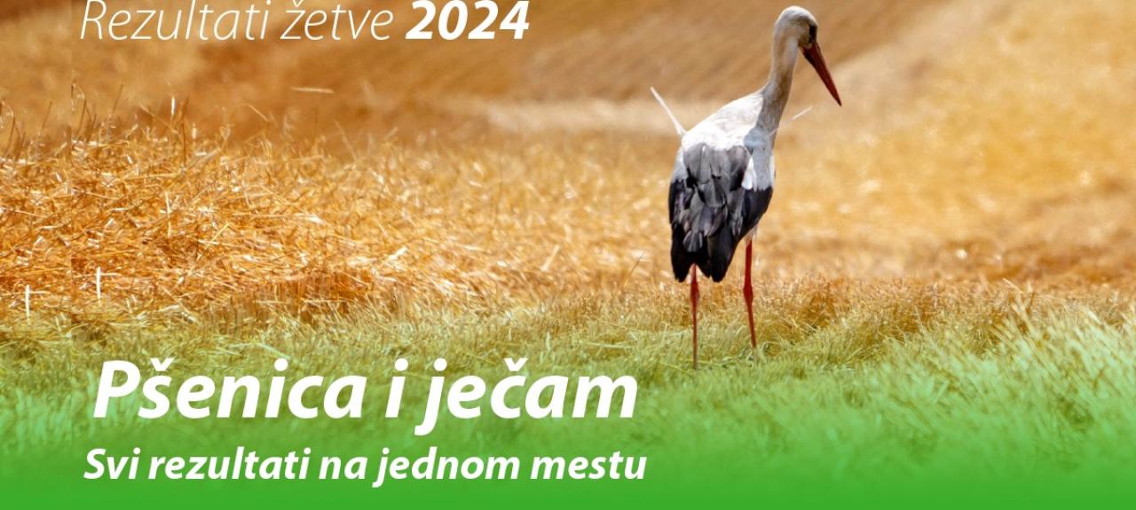 Zetva