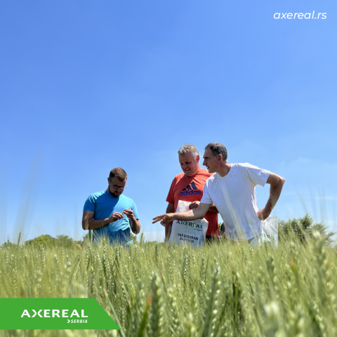 Field days