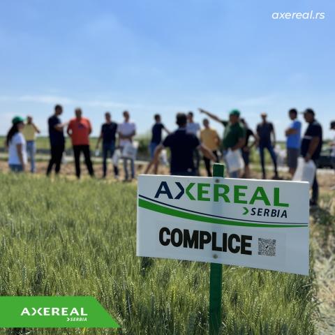 Field days