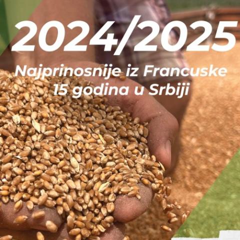 Katalog 2024
