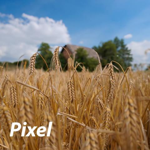 Pixel