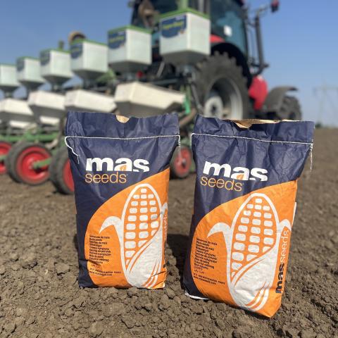 MAS 448G