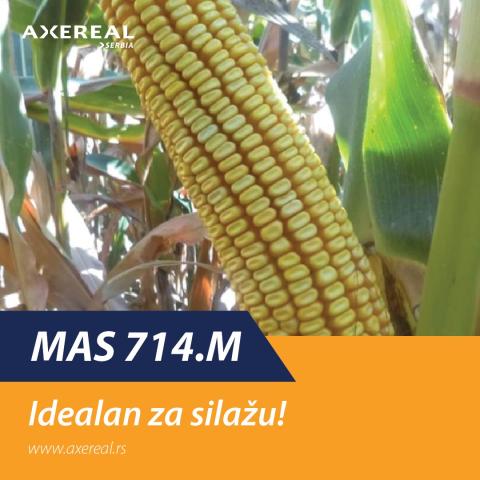 MAS 714M