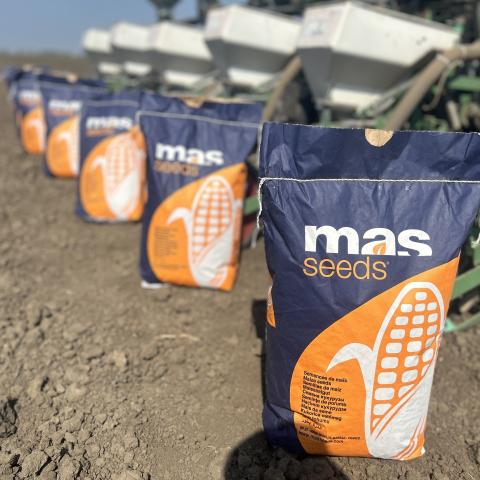 MAS 714M