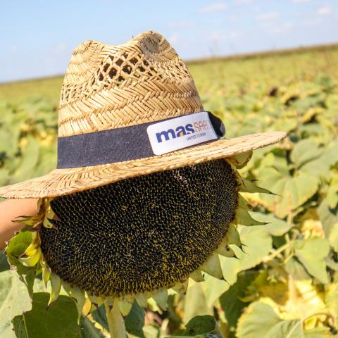 MAS 85HOCL