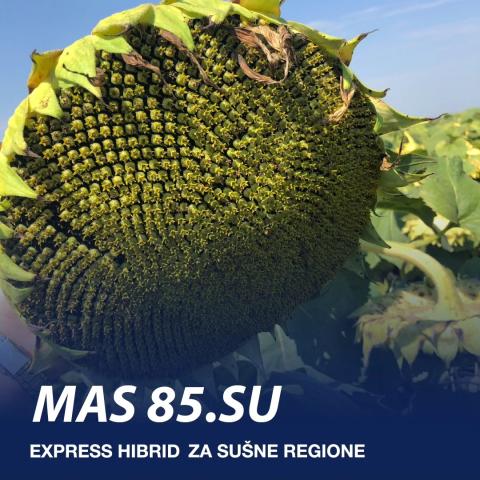 MAS 85SU