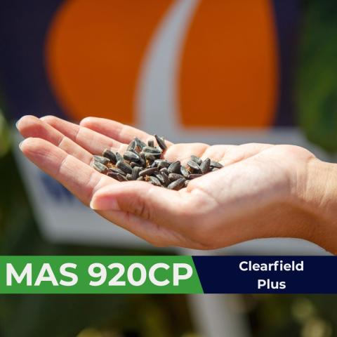 MAS 920CP