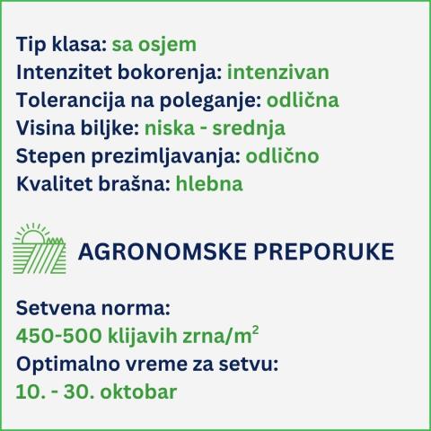 Complice