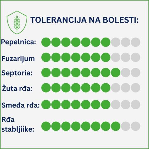 COMPLICE