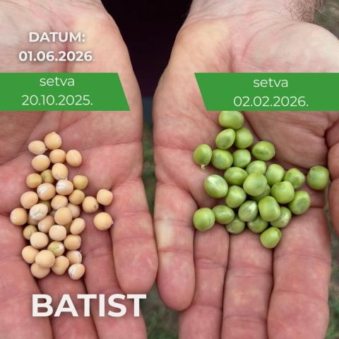 Batist